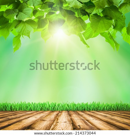 Background room interior. Fresh spring green field grass with blue bokeh and sunlight and wood floor. 