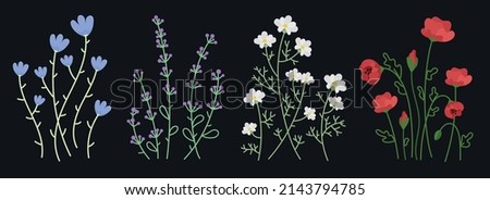 Collection of beautiful wild herbs, herbaceous flowering plants, blooming flowers, isolated on black background. Hand drawn  botanical vector illustration set . Poppy, chamomil lavender