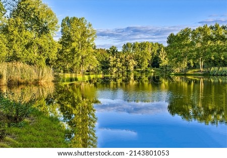 A beautiful lake in a summer green forest. Lake shoreline background reflection. Summer green lake view. Summer forest lake landscape Royalty-Free Stock Photo #2143801053