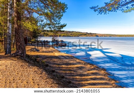 On the shore of a forest lake. Lake shoreline. Lake shore landscape. Frozen lake landscape Royalty-Free Stock Photo #2143801055