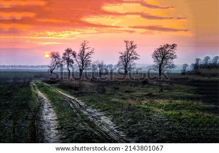 Sunset over the countryside road. Country sunset sky landscape. Rural scene at sunset. Sunset sky in countryside Royalty-Free Stock Photo #2143801067