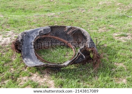 An old car tire with a cord that has come out in nature. Garbage. Ecological disaster. Royalty-Free Stock Photo #2143817089