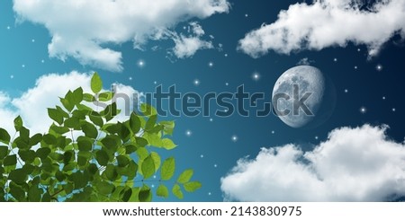 Shining full moon and stars in the night sky. green tree branches. image for stretch ceiling decoration