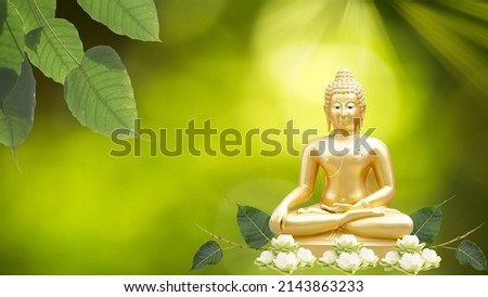 Vesak day concept: Buddha statue on bokeh background.