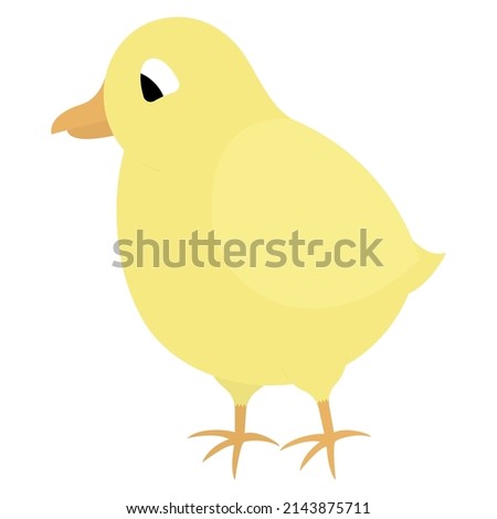 Chick. Color vector illustration. Yellow bird. Baby chicken. Cute chick. Isolated background. Flat style. Festive print. Idea for web design, invitations, postcards. Bright Easter.