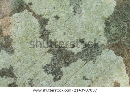stone pattern background eroded by wind