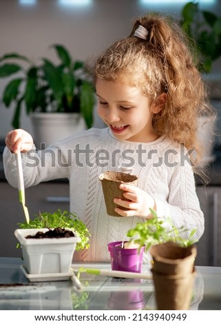 A cute girl plants at home in eco pots. She is wearing a white sweater. The garden of the house. Hobby.