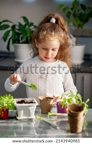 A cute girl plants at home in eco pots. She is wearing a white sweater. The garden of the house. Hobby.