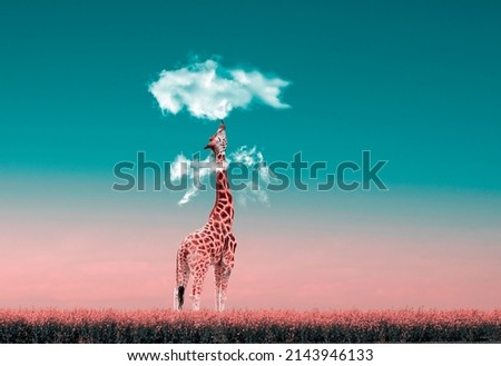 Photo montage, a giraffe under a cloud in pastel colors.