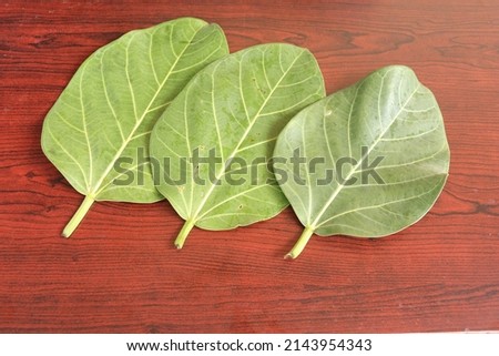Butea Monosperma Leaves Isolated  on wood background