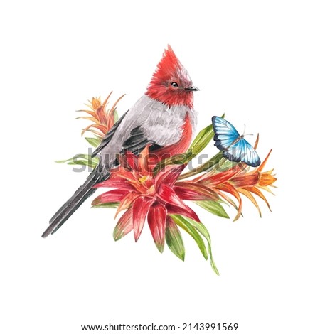 Tropical bird and bromeliad plant with red leaves and butterflies in watercolor. The illustration is highlighted on a white background. Spring or summer flower for weddings invitations, postcards.
