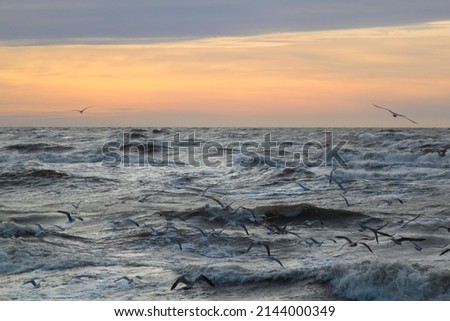 Abstract landscape in an Impressionism style with out of focus gulls flying above a stormy sea during the sunset. Selective focus. High quality photo
