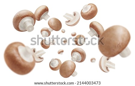 Flying champignon mushrooms, isolated on white background Royalty-Free Stock Photo #2144003473