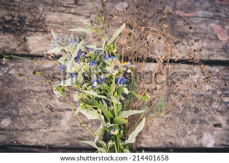Field Flowers on Wooden Background