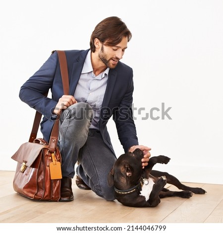 Have you been a good boy. A handsome businessman greeting his playful dog with a belly rub. Royalty-Free Stock Photo #2144046799