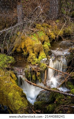 Waterfall on mossy rocks in the forest. Waterfall stream in mossy forest. Green moss stream flowing. River stream in mossy forest Royalty-Free Stock Photo #2144088241