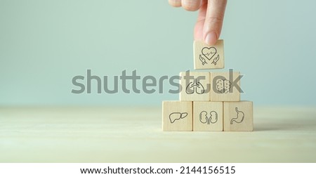 Internal organ protection. Critical illness insurance. Protection, treatment, prevention and patronage health in internal organs; heart, brain, kindneys, liver, lungs, stomach. Wooden cubes background Royalty-Free Stock Photo #2144156515