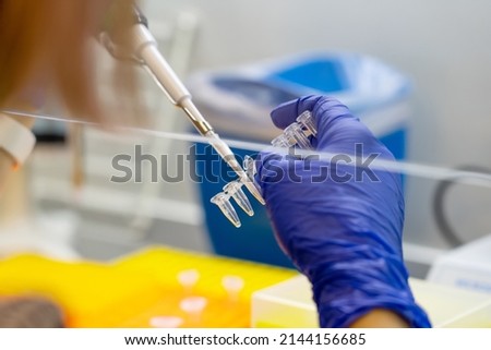 Scientist pipetting sample into vial for DNA testing. scientist loads samples DNA amplification by PCR into plastic PCR strip tubes. Biochemistry specialist works with lab equipment and glassware Royalty-Free Stock Photo #2144156685