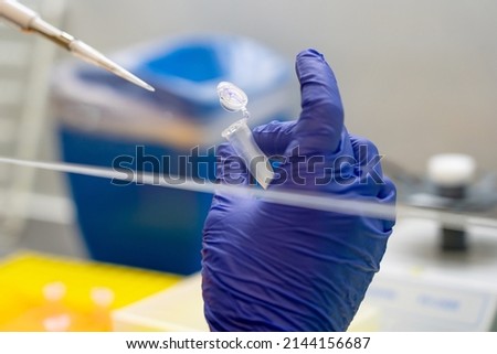 Scientist pipetting sample into vial for DNA testing. scientist loads samples DNA amplification by PCR into plastic PCR strip tubes. Biochemistry specialist works with lab equipment and glassware Royalty-Free Stock Photo #2144156687
