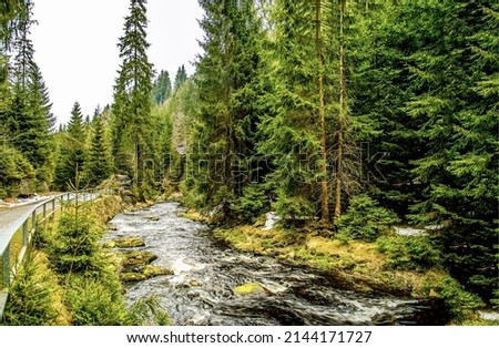 Wild river in the forest. River stream in forest. Forest river stream flowing. Forest wild river stream landscape Royalty-Free Stock Photo #2144171727