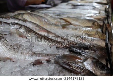 Fresh uncooked fish in ice