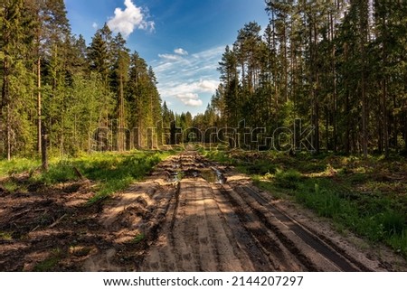 Rural road, fabulous places on the nature. Forest road in the Latvia, Latgale. 