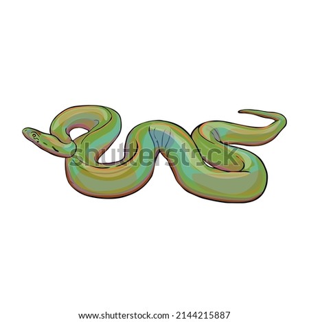 Isolated vector illustration of a snake on a white background. Boa constrictor as a blank for designers, printing on clothing, packaging, logo, icon. Boa, constrictor