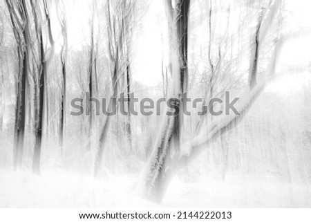 Intentional camera movement hazy black and white abstract image of a Beech wood and a winter wonderland, Painswick, The Cotswolds, Gloucestershire, UK