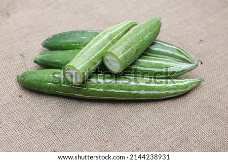 Whole slices Snake isolated, Fresh vegetable fruit closeup group of snake in background