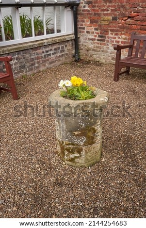 Spring flowers in a stone planter                              