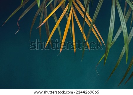 Abstract pattern of palm leaves on a green background. Tropical vacation.