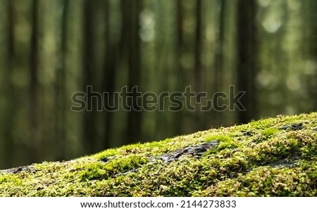 Close up of fallen tree trunk covered with moss. Mossy log with defocused forest background with tall trees. Rainforest backdrop or. Beautiful North Vancouver, BC, Canada. Selective focus. Copy space. Royalty-Free Stock Photo #2144273833