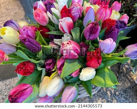 Mixed spring tulips flowers in vibrant pink, red, purple and yellow color in decorative basket high angle view