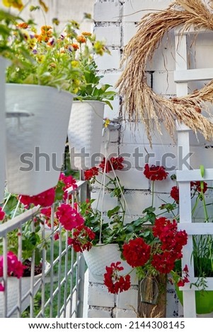 Flowering plants in pots on the balcony patio. Selective focus