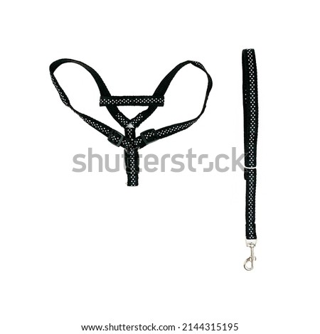 black and grey leash and collar for walking