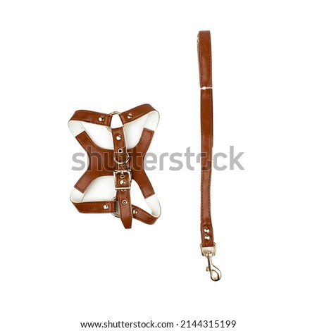 brown leash and collar for walking with dog on nature