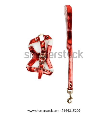 red metalic 
leash and collar for walking