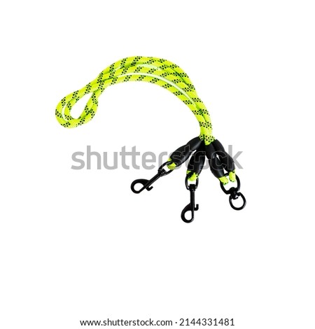 
green leather collar and leash for walking outdoors with animals