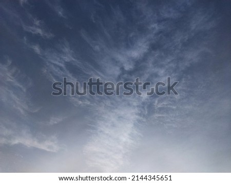 Artistic mild fox shape grey cloud appears in the morning sky