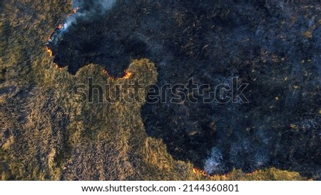 Aerial Drone View Over Burning Dry Grass and Smoke in Field. Flame and Open Fire. Top View Black Ash from Scorched Grass, Rising White Smoke and Yellow Dried Grass. Ecological Catastrophy, Environment Royalty-Free Stock Photo #2144360801
