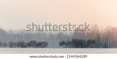 Heavy snowing on agriculture field and layers of tree with orange sun light. Early spring Czech landscape