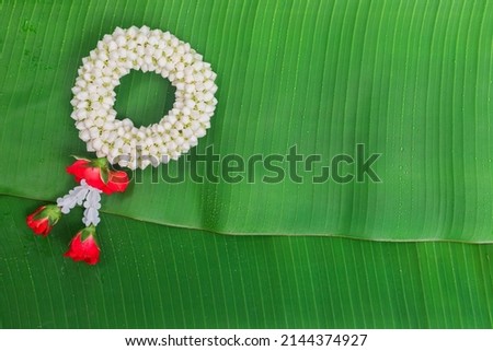 Songkran Festival background with jasmine garland on green banana leaf background