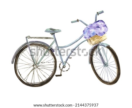 Watercolor bike with a basket of purple flowers. For decorating invitations, websites, banners, postcards, fabrics, logos