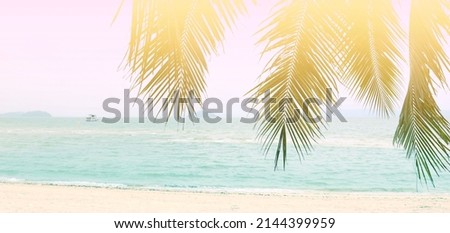 The background of Vintge Palm Trees leaf cloud sky summer tropical summer image background