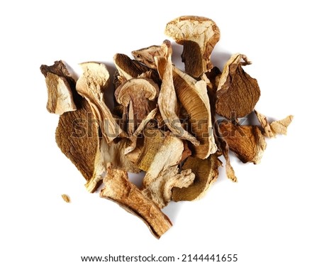 Dried boletus slice isolated on white, top view