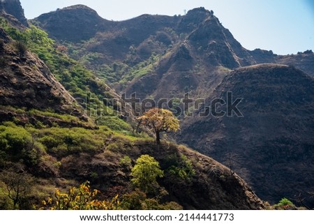 Nandurbar, Maharashtra, India 17 March 2022: Beautiful landscape of Narmada Valley located between Satpura and Vindhya mountain ranges during summer at Nandurbar, Maharashtra, India.