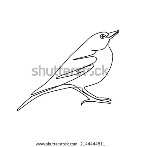 Vector illustration of bird in line art style