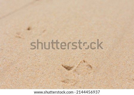 Rough textured sand background material