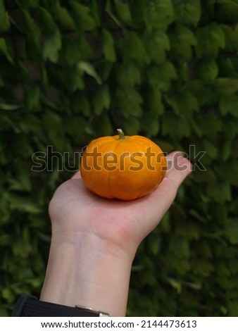 Small oranges in the palm