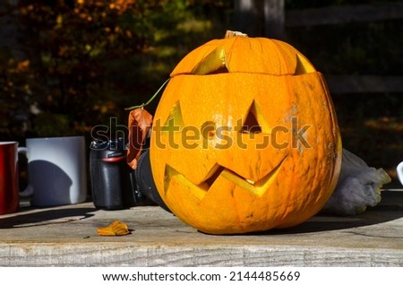 Halloween Pumpkin on table in forest. 